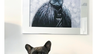 Commission a Custom Oil Portrait of Your Pet as Royalty