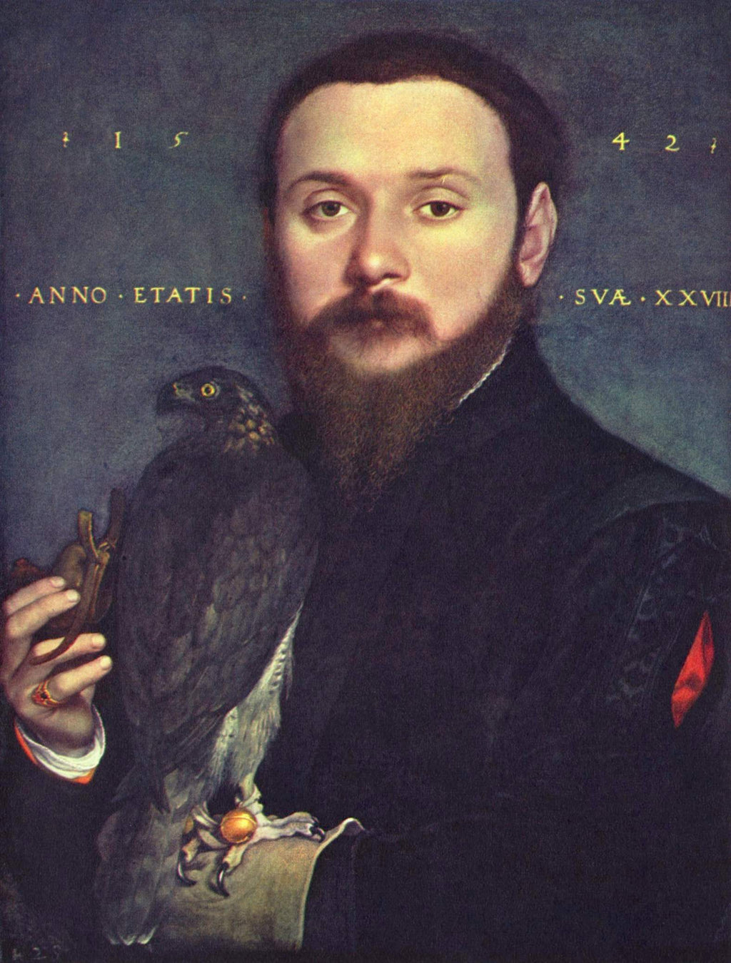 Retrato de Nobleman con un halcón