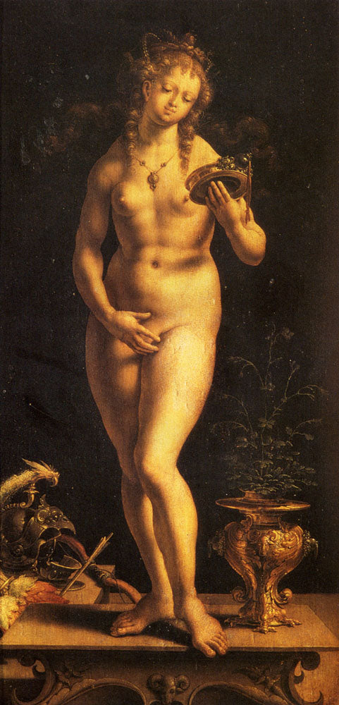 Venus y el espejo