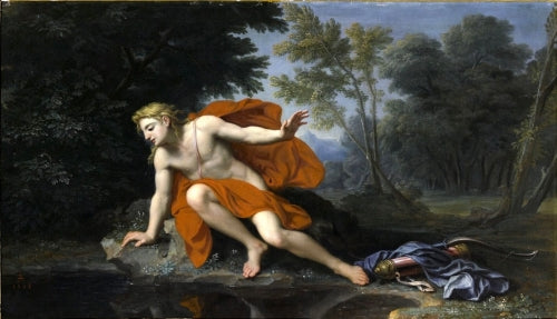 narcisse