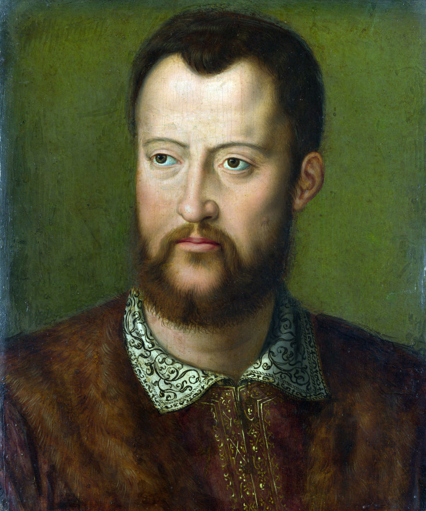 Portrait of Cosimo I de' Medici(02)
